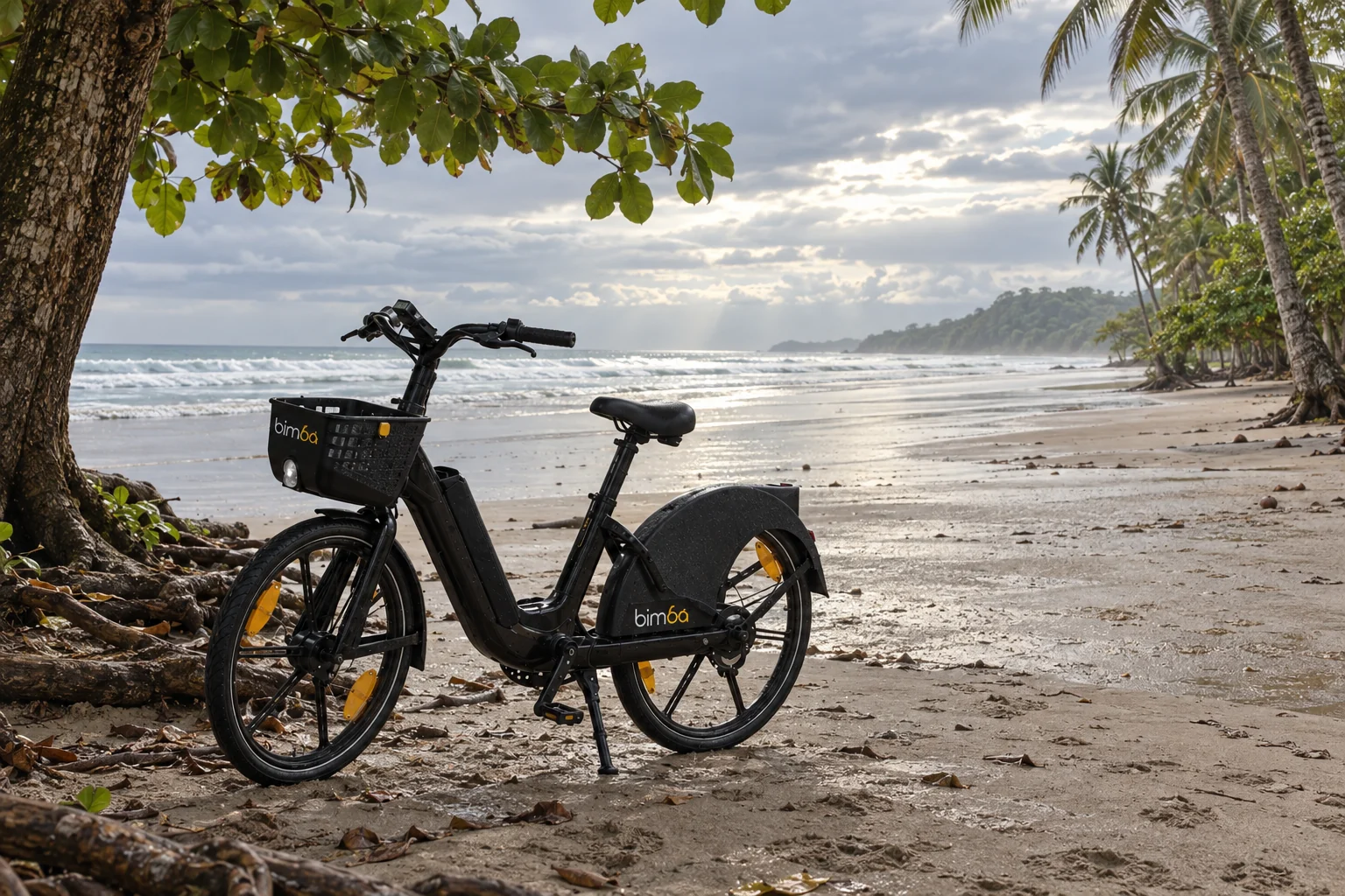 Bimba bicycle parked beside coastal trees overlooking a beach under cloudy skies