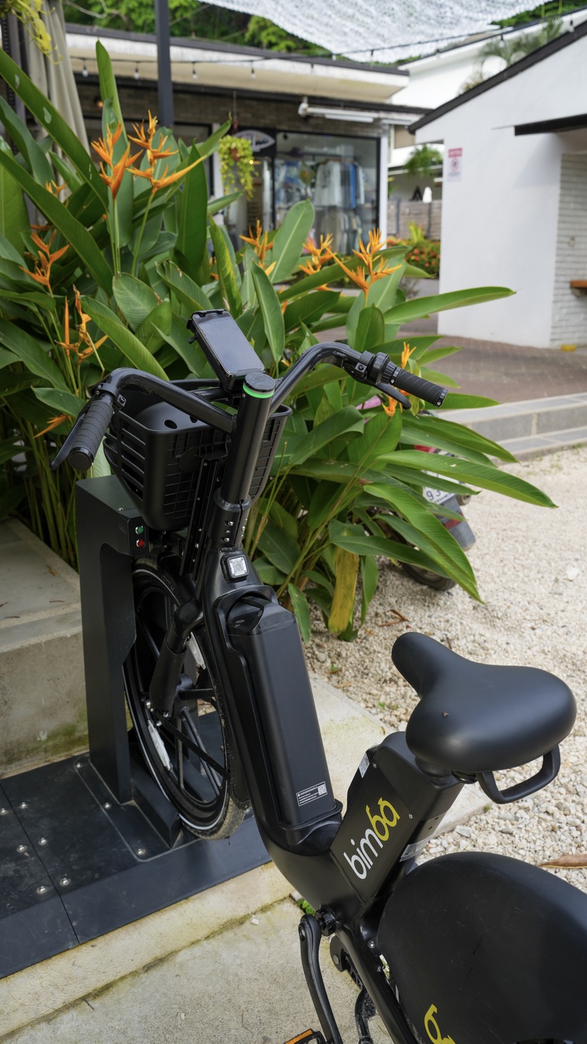 bimba ebike atv