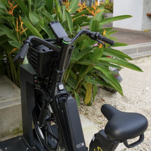 bimba ebike atv